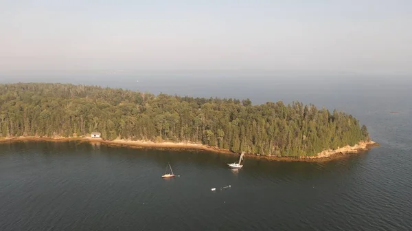 Une Vue Aérienne Une Île Boisée — Photo