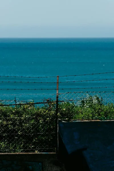 Tiro Vertical Mar Azul Com Árvores Uma Cerca Primeiro Plano — Fotografia de Stock
