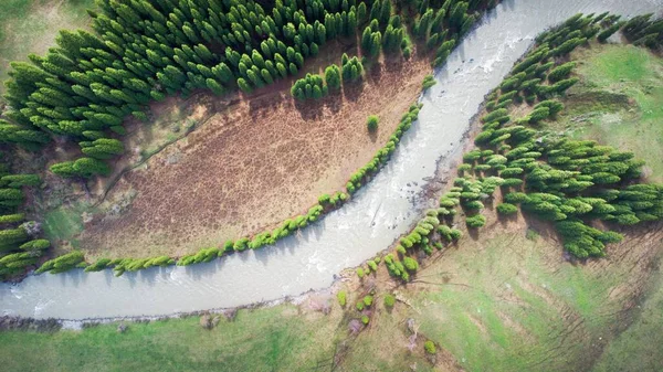 Pohled Ptačí Perspektivy Řeku Hustém Jedlovém Lese — Stock fotografie