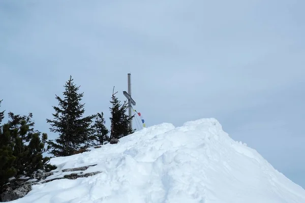Die Aufnahme Eines Holzkreuzes Mit Bäumen Auf Dem Schneebedeckten Berg — Stockfoto