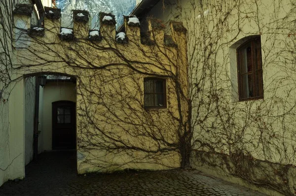 Alley Overgrown Vines Winter Bavaria Germany — Stock Photo, Image