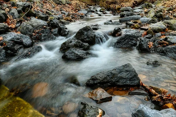 Primer Plano Arroyo Con Rocas Hojas Otoño Bosque — Foto de Stock