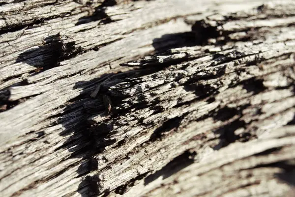 Eine Nahaufnahme Einer Rauen Holzoberfläche — Stockfoto