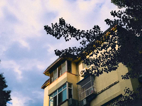 Egy Modern Ház Fákkal Nappal — Stock Fotó