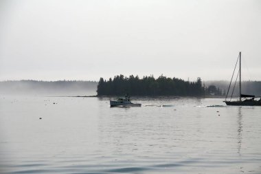 Maine 'deki küçük kızılcık adasının kıyısında yüzen bir tekne.