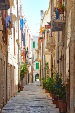 Molfetta 'nın tarihi merkezinde dar bir sokak, Puglia bölgesinde bir köy, İtalya