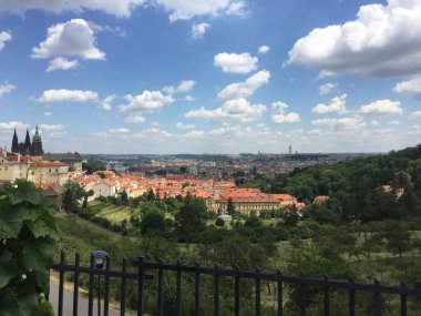 Prag şehrinin ormanlık güzel bir manzarası.