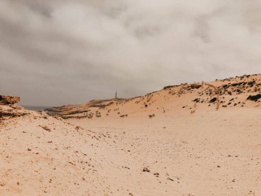 Fırtınalı bir günde kumlu bir sahil