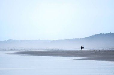 Grays Harbor, Washington sahilinde yürüyen bir çift.