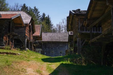 Gökyüzünün altında ağaçlar olan doğadaki eski evlerin güzel manzarası.