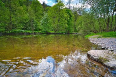Arkasında Thüringen Ormanı olan Schwarza nehrinin manzarası.