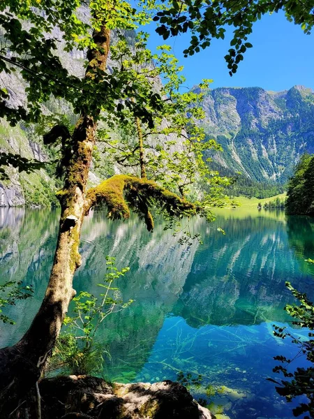 Eine Vertikale Aufnahme Eines Sees Mit Dem Spiegelbild Eines Berges — Stockfoto