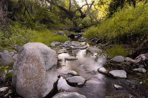 長い露出で緑豊かな森の中の小さな水たまりの中と近くの石 — ストック写真