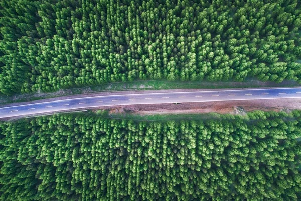 Uma Visão Olho Pássaro Uma Estrada Uma Floresta Abeto Densa — Fotografia de Stock