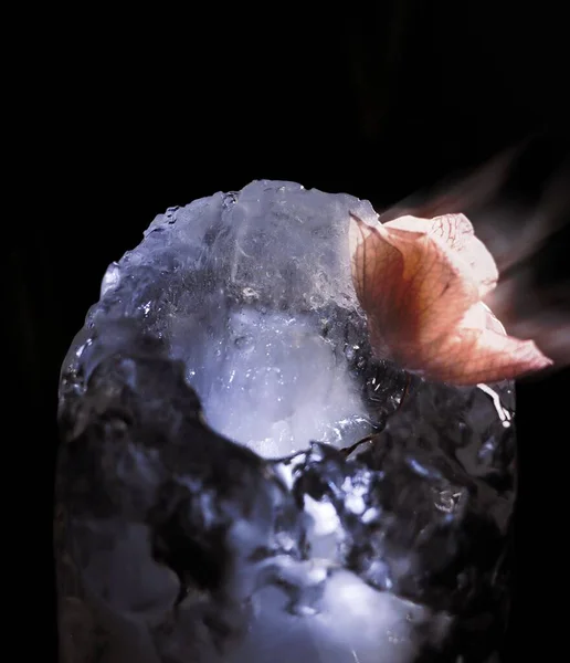 Ein Schmetterling Thront Auf Einem Leuchtenden Kristall Einem Dunklen Raum — Stockfoto