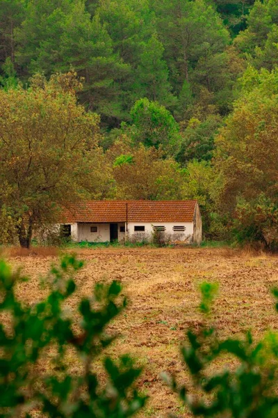 Vertical Shot Countryside House Fall — Stock Photo, Image