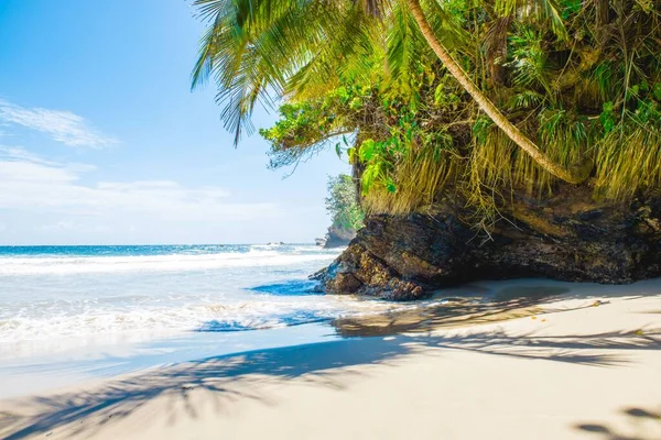 Blick Auf Einen Paradiesischen Strand Unter Kokospalmen Blanchisseuse Trinidad Und — Stockfoto