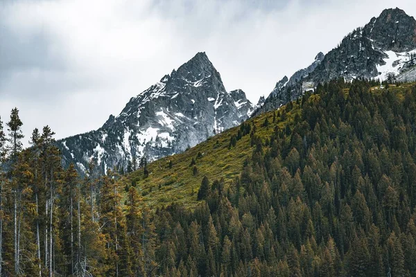 Die Tetonen Mit Einem Wald Vordergrund Vor Einem Sturm — Stockfoto
