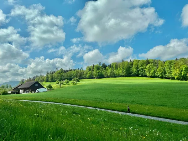 Bâtiment Ferme Sur Une Colline Verdoyante Avec Une Personne Courant — Photo