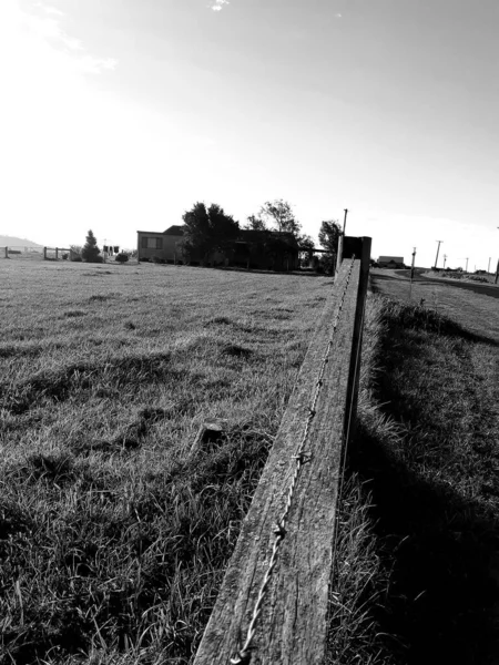農地の金属製の柵門のグレースケール — ストック写真