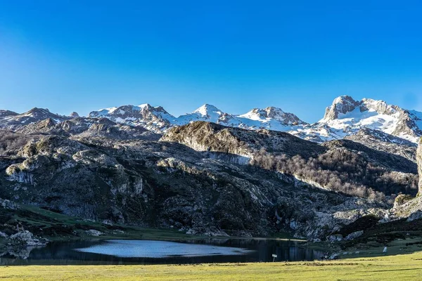 Hermoso Paisaje Invernal Famoso Lago Covadonga Rodeado Montañas Nevadas Resort — Foto de Stock