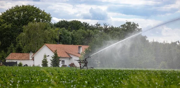 Een Irrigatiesproeier Werkend Een Veld Met Een Boerderij Achtergrond Amsterdam — Stockfoto