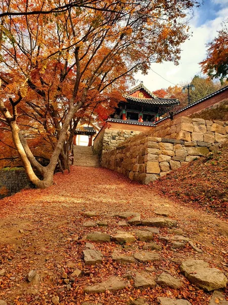 秋の韓国の伝統的な寺院の垂直ショット — ストック写真