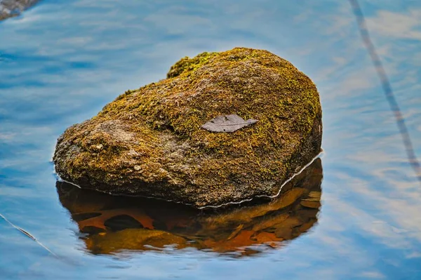 Close Uma Pedra Musgosa Lago Reflexivo Com Folhas Outono — Fotografia de Stock