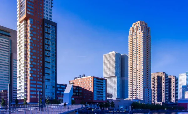 Rotterdams Skyskrapor Kvällen Nederländerna — Stockfoto