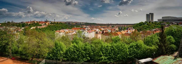Panoramatický Záběr Budovy Obklopené Stromy Praze — Stock fotografie