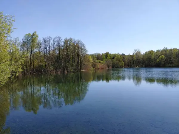 Die Hohen Grünen Bäume Seeufer Spiegeln Sich Wasser — Stockfoto