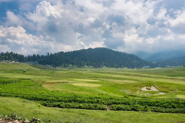 Güzel dağ manzarası devletin Sonamarg, Jammu ve Keşmir, Hindistan.