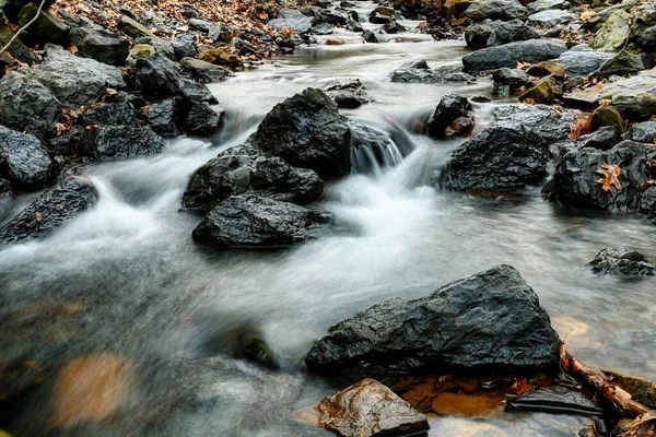 森の中の岩や紅葉の小川のせせらぎ — ストック写真