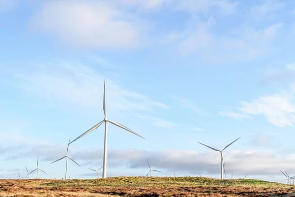 Landscape View Windmills Field — Stock Photo, Image