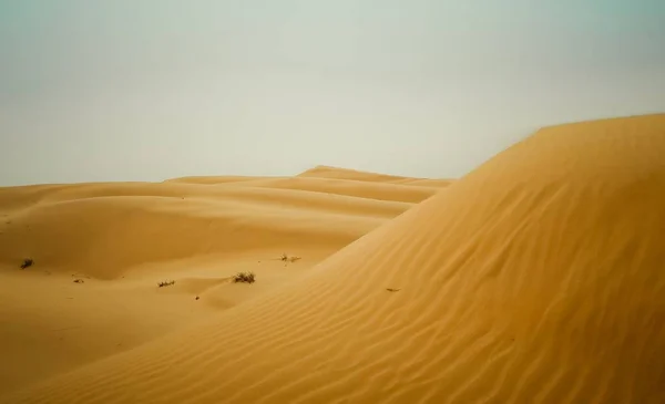 Las Dunas Desierto —  Fotos de Stock