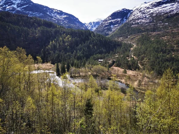 Krajina Pohled Gjerde Haugafjellstolen Lesní Stromy Pod Zasněženými Horami Norsko — Stock fotografie