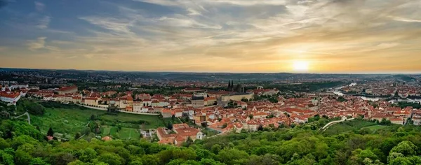 Panoramic Shot Buildings Surrounded Trees Prague — Stock Photo, Image