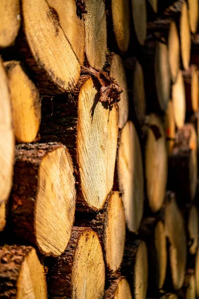 Vertical Closeup Shot Heap Logs Firewood — Stock Photo, Image