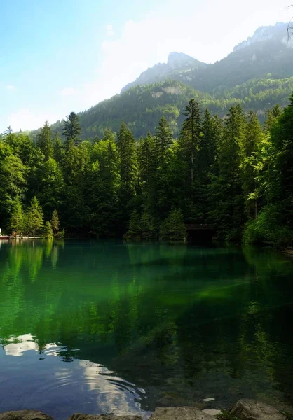 Природный Вид Спокойствие Увидеть Озеро Лесной Ландшафт Швейцарии — стоковое фото