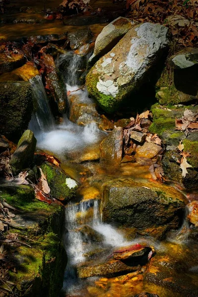 Closeup Córrego Com Rochas Folhas Outono Uma Floresta — Fotografia de Stock