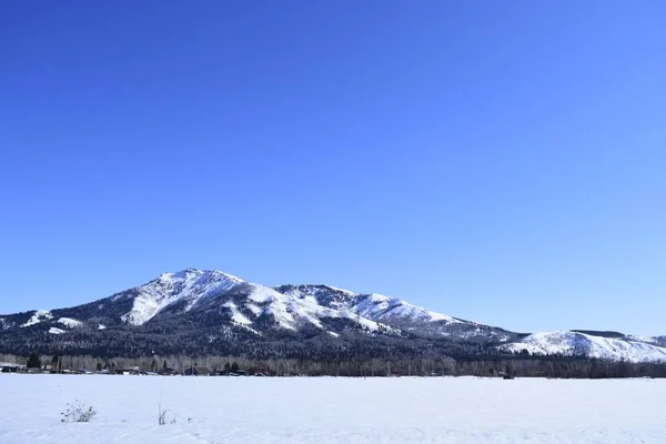 Aerial View Snow Covered Field Surrounded Trees Background Mountains Stock Picture