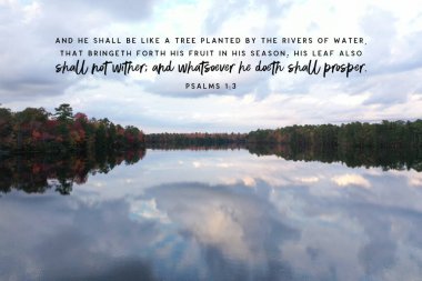 Bulutlu bir gökyüzünün altında büyüleyici bir göl manzarası