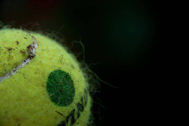 Yeşil tenis topunun seçici odağı
