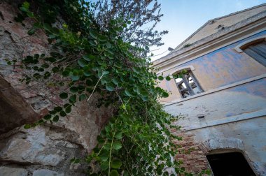 İtalya, Temmuz 2022: Puglia 'daki Tremiti Adaları' ndaki San Nicola adasının mimari detayları