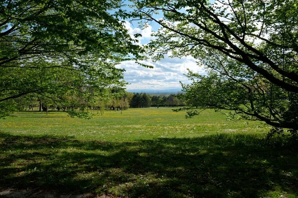 Uma Bela Vista Parque Verde Viena Dia Ensolarado Verão — Fotografia de Stock