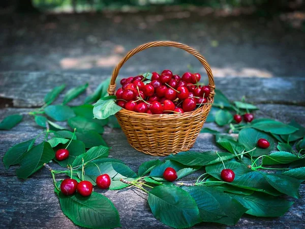 Ein Korb Prall Gefüllter Roter Kirschen Mit Sattgrünen Blättern Drumherum — Stockfoto