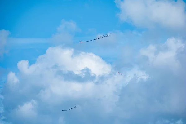 Över Färgglada Drakar Flyger Himlen — Stockfoto