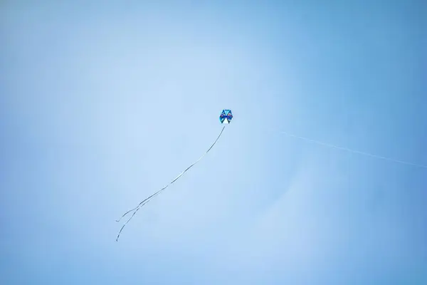 Ângulo Baixo Bonito Papagaio Céu Azul — Fotografia de Stock