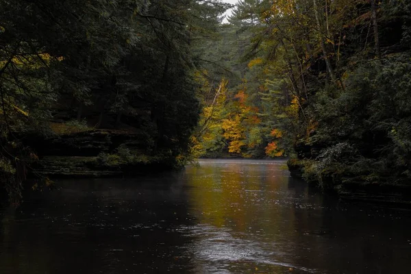 나무들 에둘러 강물이 흐르는 아름다운 — 스톡 사진
