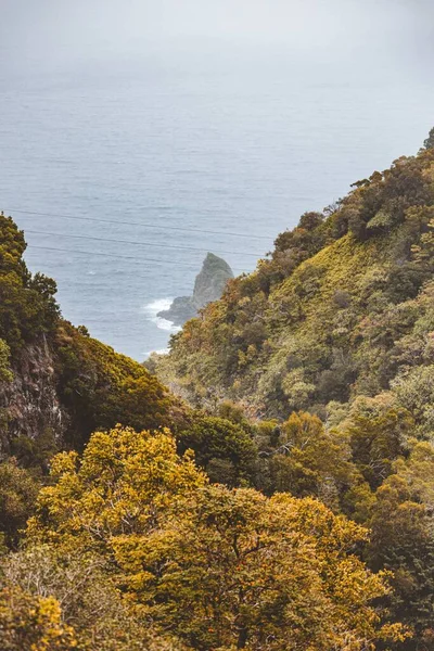 Eine Vertikale Aufnahme Eines Bewaldeten Gebirges Der Küste — Stockfoto